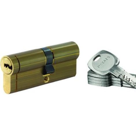 THIRARD - Lot de 10 cylindres Transit 1 double entrée 45x50mm, laitonné, 5 clés - THIRARD (1/5)
