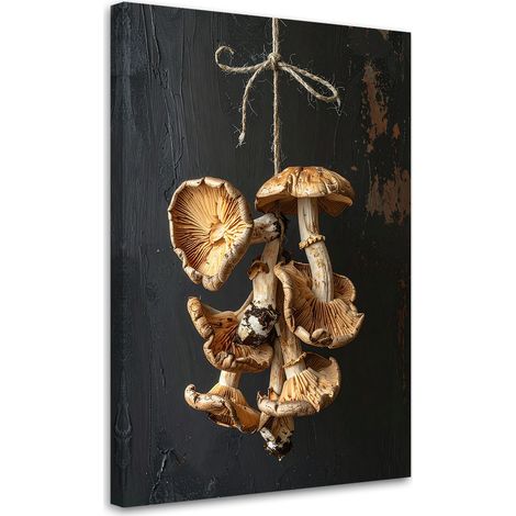 Cuadro en Lienzo, Setas secas, 40x60 (1/5)
