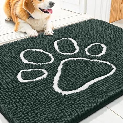 Tapis de porte pour chien avec pattes boueuses – Absorbant, antidérapant, à séchage rapide, lavable en chenille (30 x 20 cm, vert/blanc), convient à une utilisation intérieure et extérieure