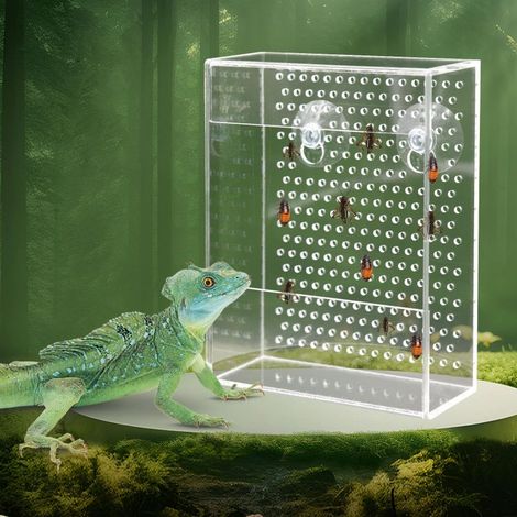 Irovami Boîte à manger murale transparente en acrylique pour animaux de compagnie, 12 x 5 x 16 cm (1/5)
