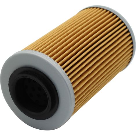 The oil filter is compatible with 0956745 Buell: Q10641AM Can-Am: 42095674. (1/4)