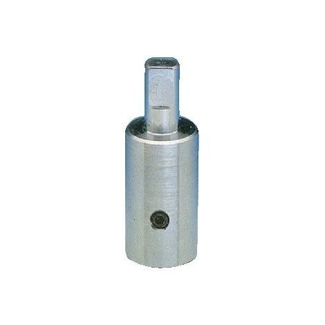 Prolunga da mm 30 con vite, per perno, cromata GA989C26 - -  ENOLGAS - - (1/3)