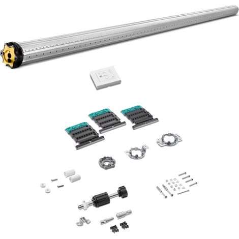 Somfy – Kit motorisation universel RS100 IO 10/17 pour volets roulants – Moteur 230V avec arrêt automatique sur obstacle – Compatible TaHOMA V2