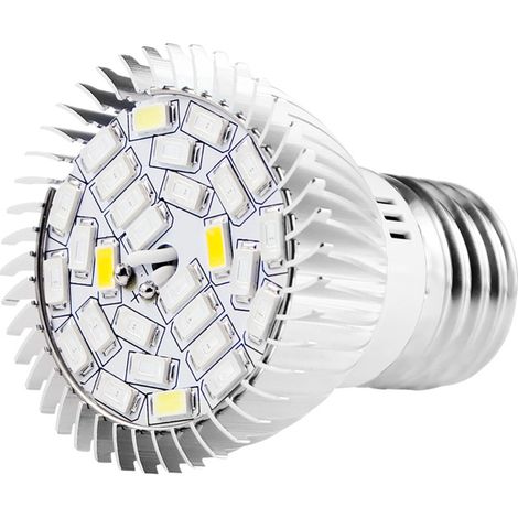 E27 Vollspektrum-Gartenbaulampe für das Wachstum von Sukkulenten in Töpfen.