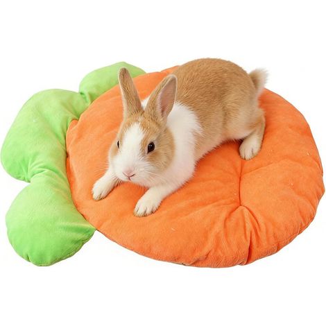 Tapis Pour Animaux De Compagnie, With Relaxation Grace À La Stabilité, Lit For Animaux De Compagnie En Forme De Carotte, Coussin De Nidification (1/4)