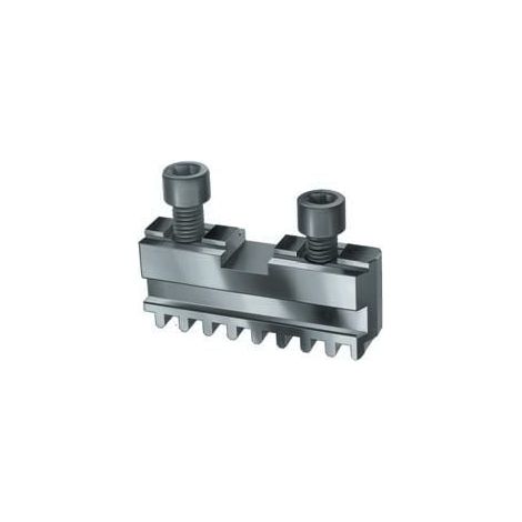 Mascella  di base  Röhm  GB,  misura  1000,  set  di  4  griffe,  con  vite  di  fissaggio  -  141611. (1/5)