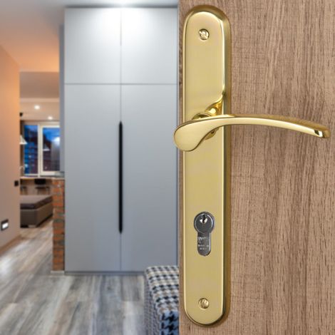 Ouvre&Déco – Lot de 2 poignées de porte EVA à cylindre – Laiton poli – Entraxe 195 mm – Pour serrures à relevage 3/5 points – Vernis haute résistance (1/3)
