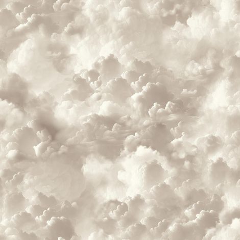 Arthouse Vanilla Skies Neutral Wallpaper Clouds Modern Contemporary Feature Wall (1/4)