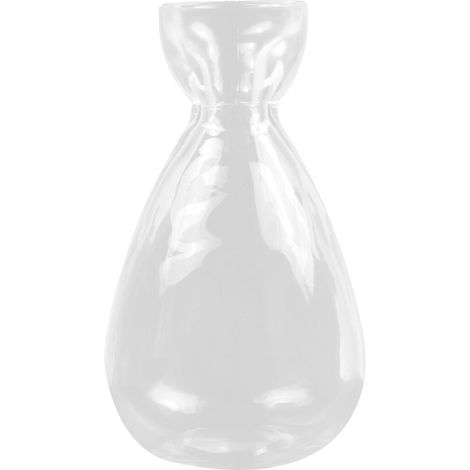 Vase en verre transparent pour la culture d'avocatiers, pot de culture hydroponique, idéal pour les amateurs de jardinage et la décoration intérieure. (1/5)
