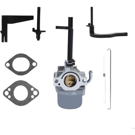 Carburateur Nikki pour Souffleuse à Neige Briggs & Stratton - Remplace 698305, 793778 (1/5)