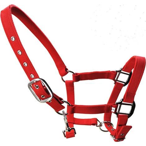 verstellbares Nylon-Pferdehalfter mit Messingschnallen und doppellagigem Riemen für Fohlen, Ponys und Esel (1/4)