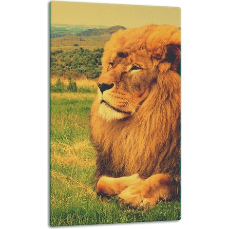 Glasplatte, Tischplatte, 30x52 LEW (1/5)