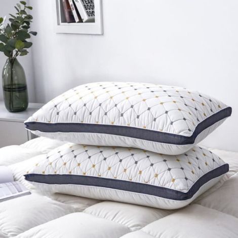 Oreiller - 48 x 74 cm - Remplissage Polyester 700 g - Enveloppe 100 % Polyester - Lot de 2 (1/4)