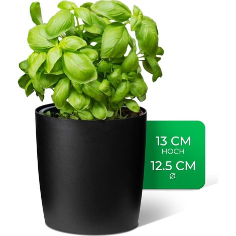 Pot à herbes aromatiques en plastique noir élégant Novaliv pour chaque rebord de fenêtre, pour herbes aromatiques fraîches, jardin d'herbes