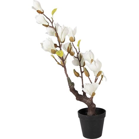 Plante artificielle Magnolia pour décoration intérieure en plastique blanc 16 x 14 x 60 cm - PANGIVO (1/4)