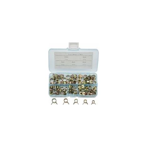 Lot de 75 colliers de serrage à ressort en acier inoxydable Dimensions 6 à 10mm Résistance à la corrosion Pour tuyaux essence - 75PCS (1/5)