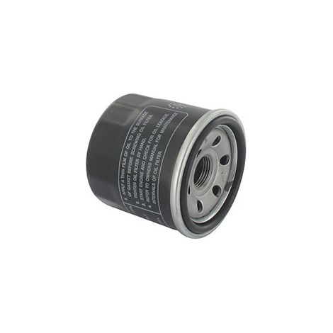Filtro aceite BRIGGS et STRATTON 820314