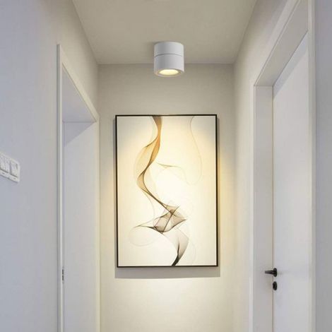 Spot LED plafonnier - - Orientable - 12W - Blanc chaud 3000K - Intérieur (1/5)
