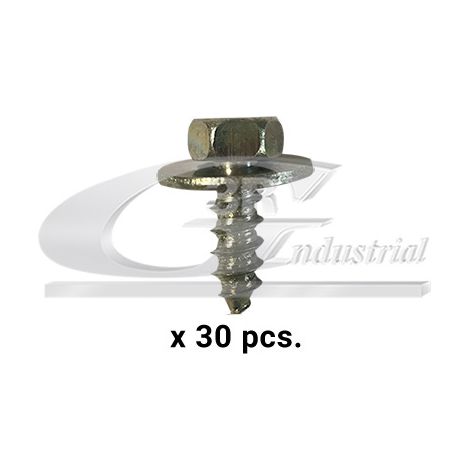 3RG 86113 TORNILLO CARROCERÃƒÂA (PACK 30 PCS)