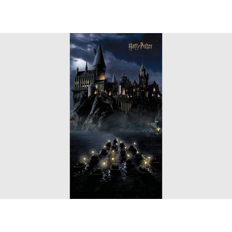 Poster intissé - Harry Potter Poudlard dans la nuit - 150 x 270 cm - 2 lés (1/4)