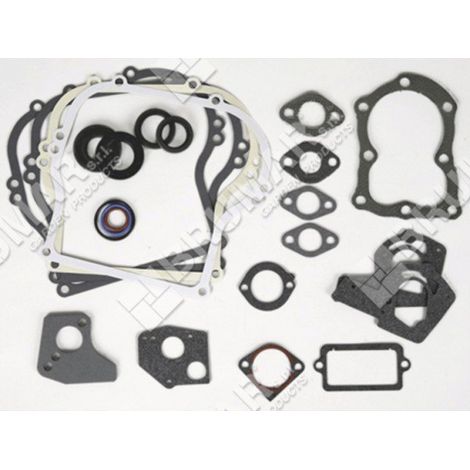 Serie guarnizioni per motori BRIGGS & STRATTON 495603 Compatibile - 020374