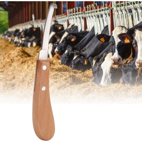 Cuchillo para pezuñas con hoja recta de acero al carbono, herramienta para el cuidado de las pezuñas de bovinos y equinos (para usuarios diestros). (1/5)