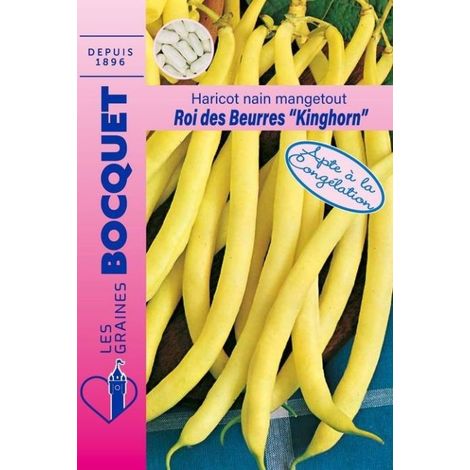 Haricot nain beurre Roi des beurres  (Kinghorn) - 110g