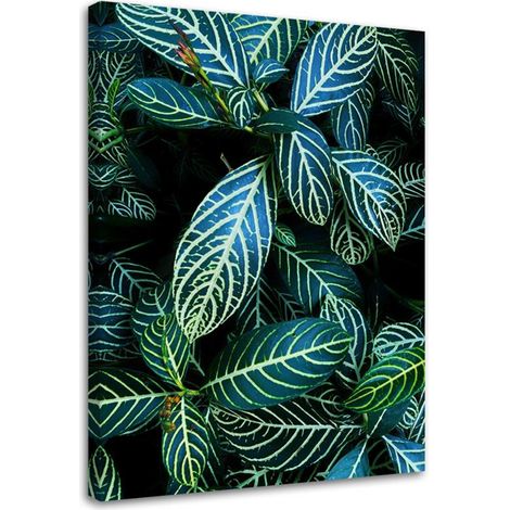Tableau sur toile Feuille tropicale Nature 40x60 (1/5)