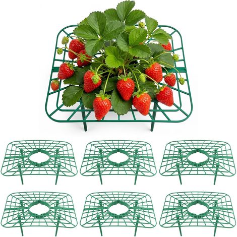 6 Tuteurs fraisiers 25x20x10cm avec Filet réutilisable 4 Pieds, 6 pièces 25x20x10cm, surélevé anti-sol, filet protection (1/5)