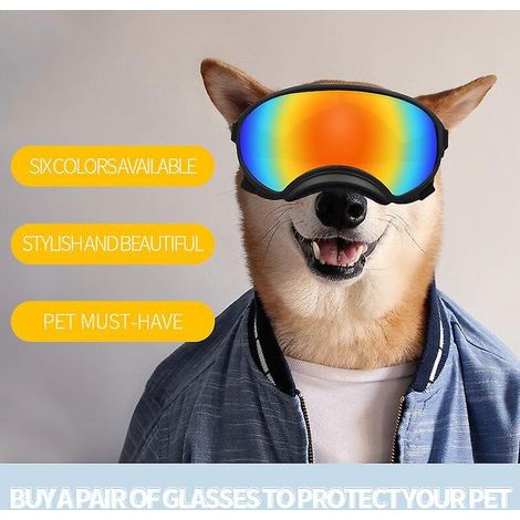Red Slice Hundebrille mit verstellbarem Riemen, UV-Schutz und Schutz vor Wind, Staub und Nebel. (1/5)