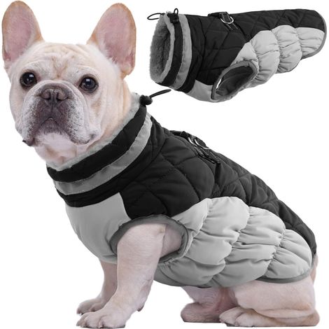 (Medium)Manteau d'hiver Imperméable pour Chien Veste Chaude Doublé en Polaire pour Chiot avec Col en Fourrure Gilet Coupe Vent Extérieur Vêtement Réfléchissant pour Petits Moyens Grands Chiens
