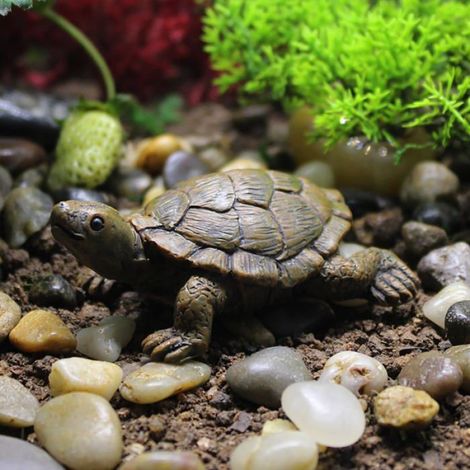Figurine Tortue Résine - 3 Pièces, 7cm Long Décorative, Jardin Intérieur Mini Étang Aucuneary