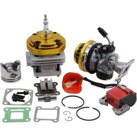 Kit cylindre doré Carburateur Filtres à air moteur bobine d'allumage Set Big Bore Piston pour 47cc 49cc 2 temps moteur Pocket Bike Atv Quad Motocross (1/5)