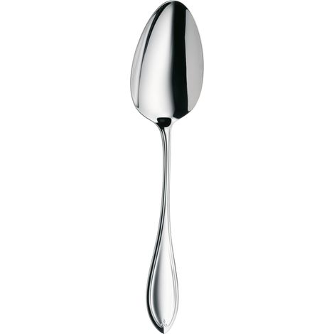 Cuillère de service 23,7 cm, couverts de service, en acier inoxydable poli, résistant aux rayures, passe au lave-vaisselle (1/4)