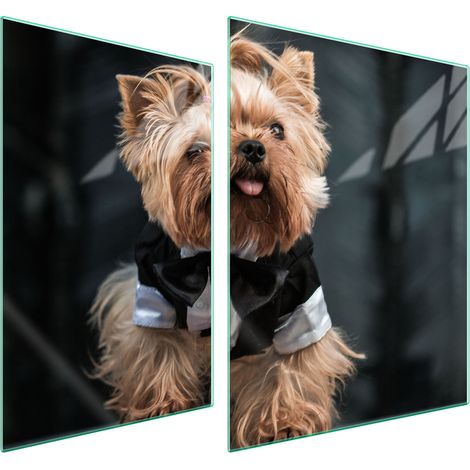 PLACA PROTECTORA DE VIDRIO PARA ESTUFA 70x52 PERRO (1/5)