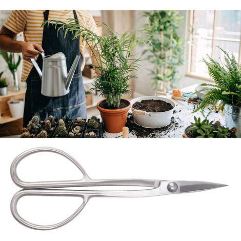 Cisaille à bourgeons en acier inoxydable 210 mm, outil de taille et de mise en forme pour bonsaï, argent (1/5)