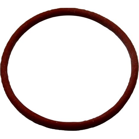 Saeco guarnizione caldaia 30mm macchina caffè Incanto Divina Royal Stratos (1/2)