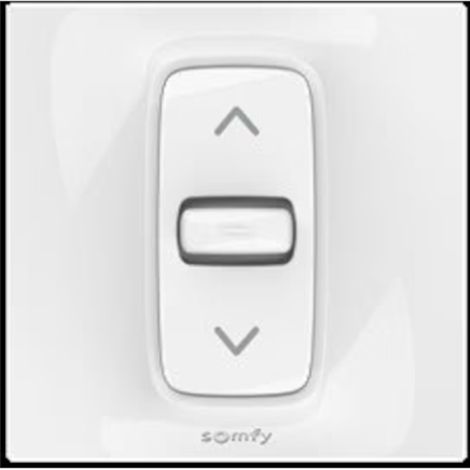 Somfy 1800517A Inis flush-mounted reverser 80x80 fixed position (1/3)