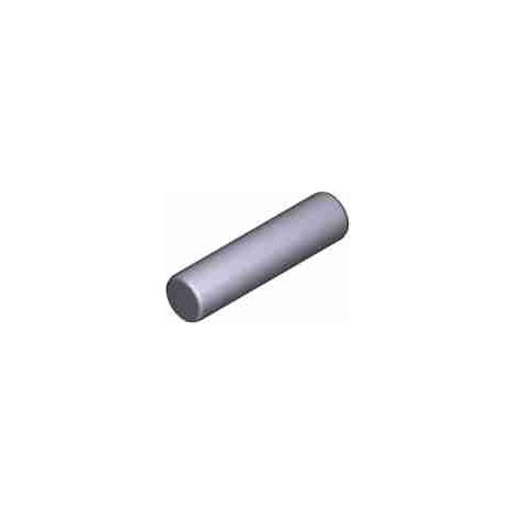 Fusibles rapides 5X20 1A 10Pcs Remplacement CAME 119RIR157