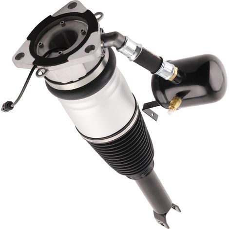 Rear Right Air Suspension Shock Strut For VW Phaeton 3D1 3D2 3D3 3D4 4E0616002G (1/5)