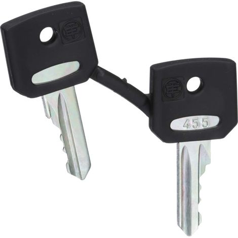 JUEGO DE 2 LLAVES N 455 (1/4)