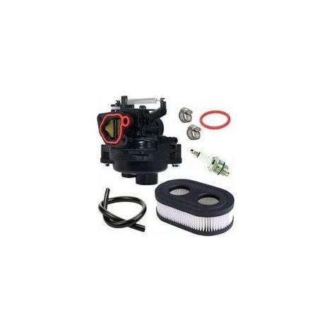 Carburateur référence 799584 pour moteurs Briggs & Stratton, notamment les modèles 09P702-0145-F1, 09P702-0098-F1, 550Ex, 625Ex, 675Ex, 725Ex, 140CC H734--TRIMEC (1/4)