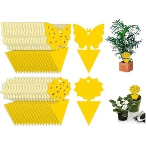 30x Autocollant Jaune Anti Mouche et moucheron,pièges Collant sans Insecticide pour la Lutte Contre Les parasites des Plantes d'int (1/5)