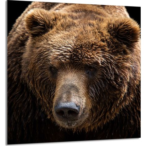 Panneau de verre POUR la cuisine 60x65 Ours en peluche (1/5)