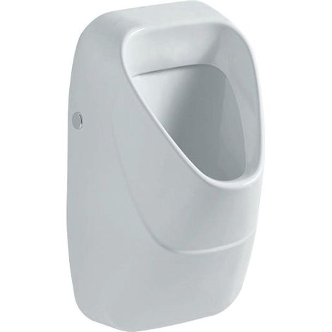 Geberit 300 urinoir avec grille en céramique avec arrivée arrière 34x34cm avec mouche blanc