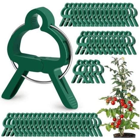 50 plant ties, reusable stem supports, reusable tomato clips.