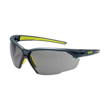 Lunettes de protection Uvex suXXeed Gris ( Prix pour 1 )