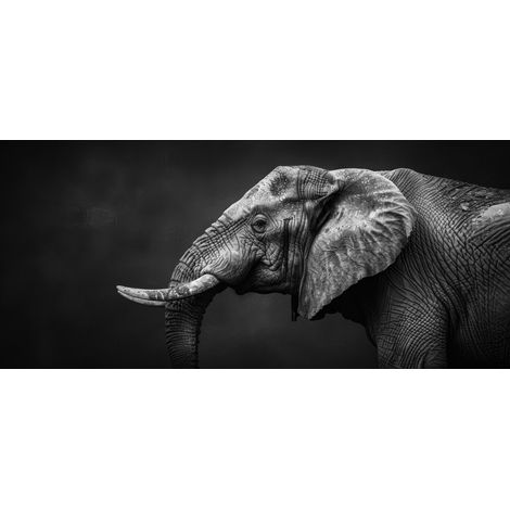 Tableau sur verre synthétique éléphant de profil noir et blanc 65x145 cm - Impression sur Verre synthétique - Image HD  imprimée sur Verre synthétique - Tableau mural décoratif - Fabriqué en France (1/5)