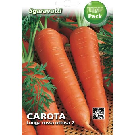 Semi per Ortaggi e Vegetali Carota Lunga Ottusa Sgaravatti 20 Pezzi (1/2)