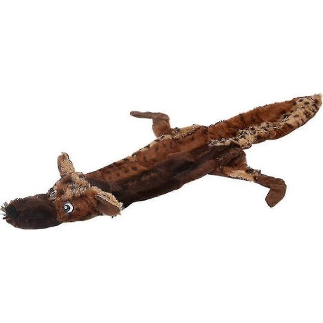 Chien de petite taille à gueule douce (1/2)